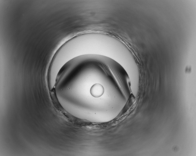 X0000101950100200808151302