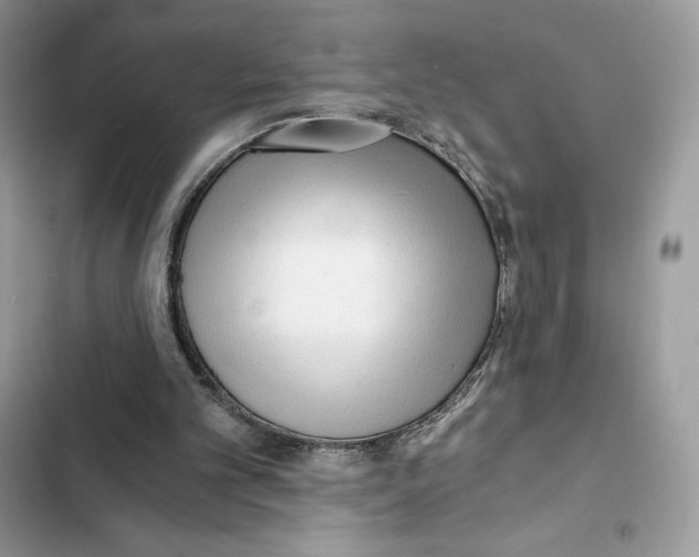 X0000101950101200808151301