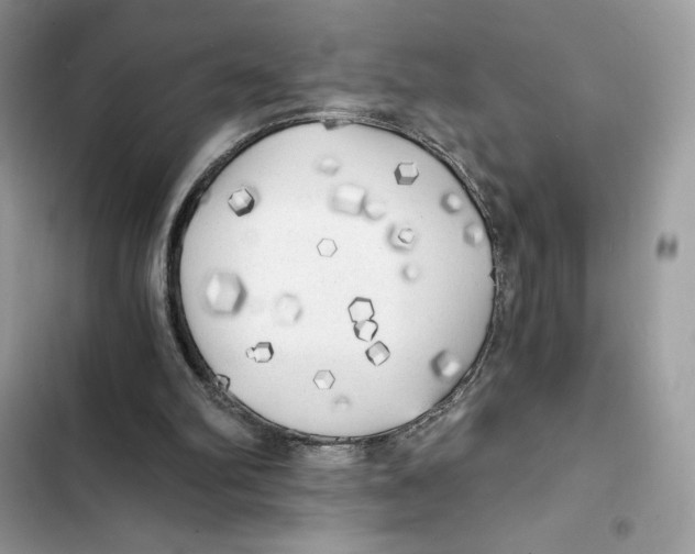 X0000101950102200808151301