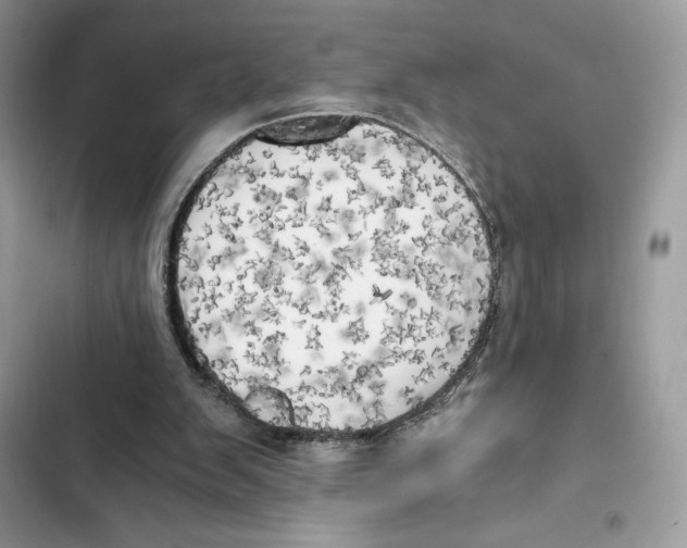 X0000101950103200808151301