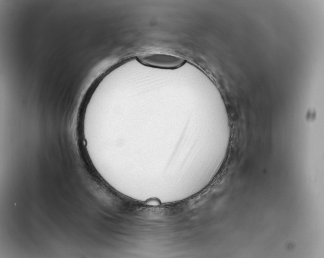 X0000101950104200808151301