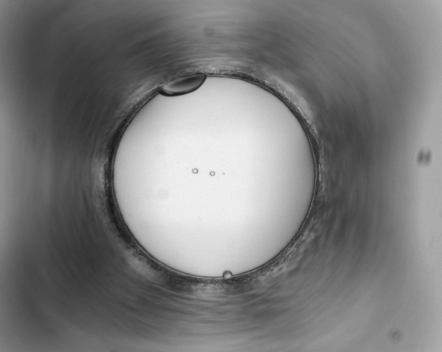 X0000101950105200808151301