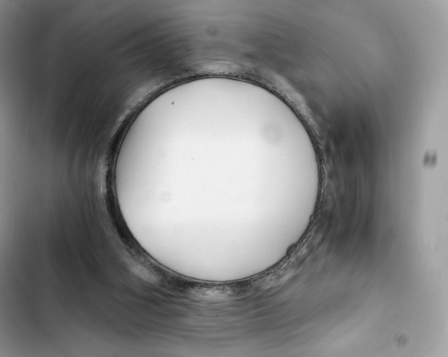 X0000101950106200808151301