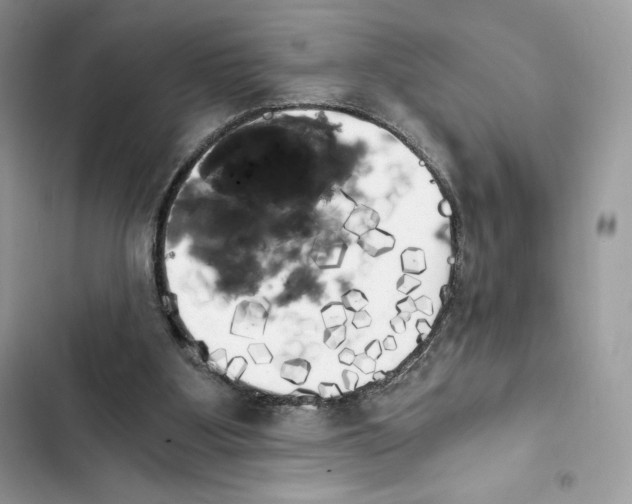 X0000101950107200808151301