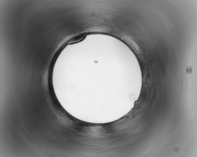 X0000101950108200808151301
