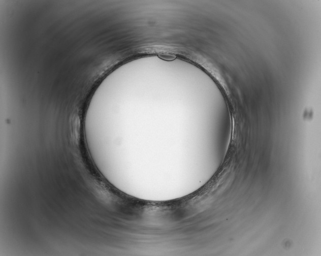 X0000101950109200808151301