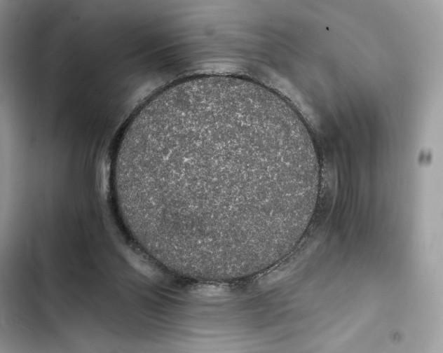 X0000101950110200808151301