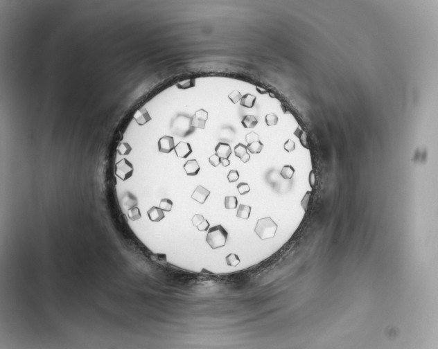 X0000101950111200808151301