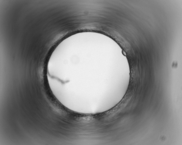 X0000101950112200808151301