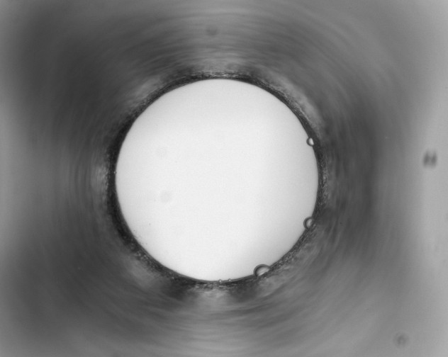 X0000101950113200808151301