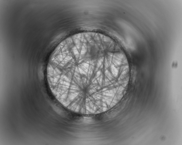 X0000101950114200808151301