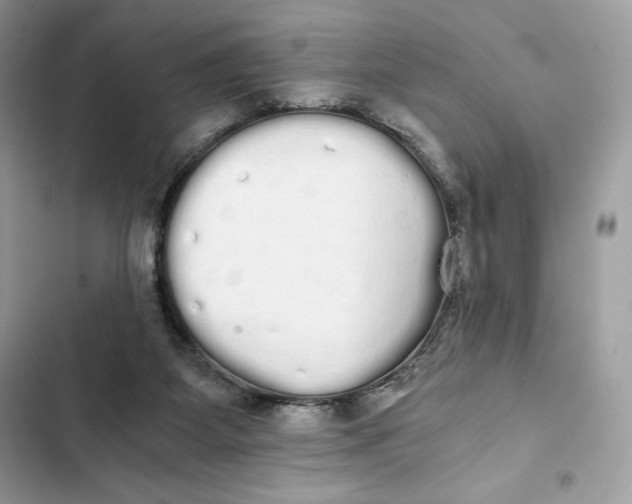 X0000101950115200808151301