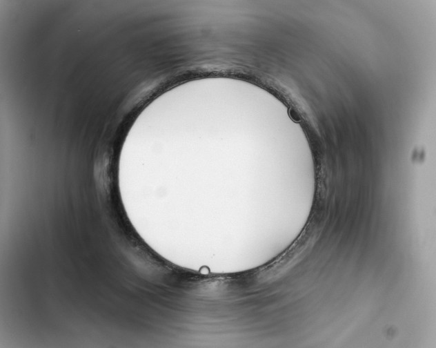 X0000101950116200808151301