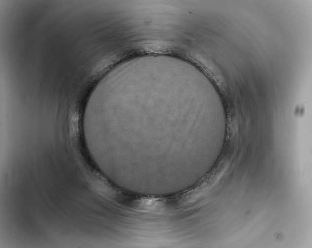X0000101950117200808151301