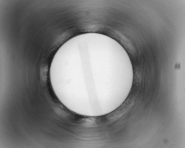X0000101950118200808151301