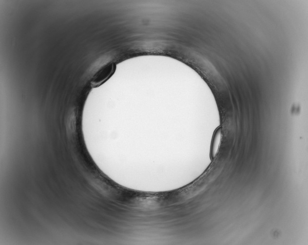 X0000101950120200808151301