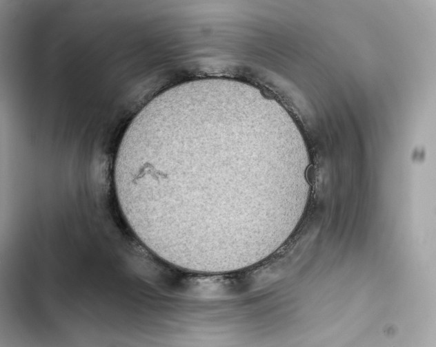 X0000101950121200808151301