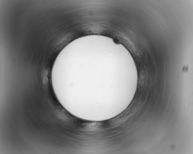 X0000101950122200808151301