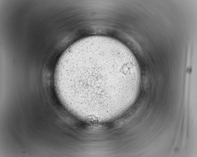 X0000101950123200808151301