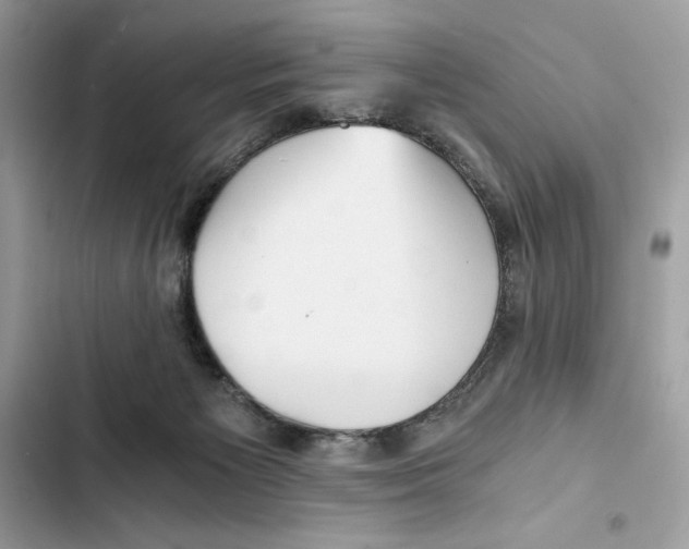 X0000101950125200808151301