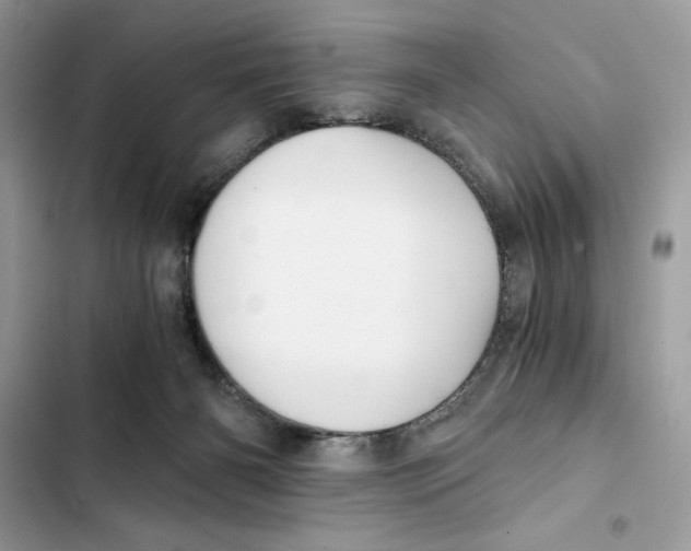 X0000101950126200808151301