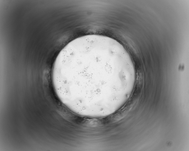 X0000101950127200808151301