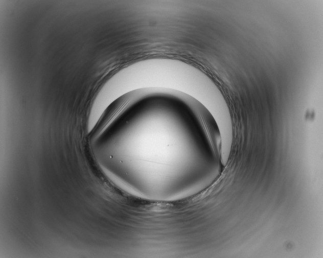 X0000101950128200808151301
