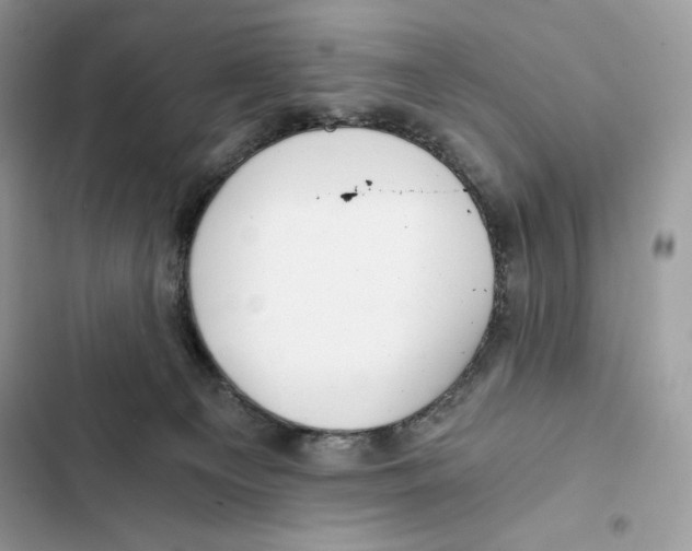 X0000101950129200808151301