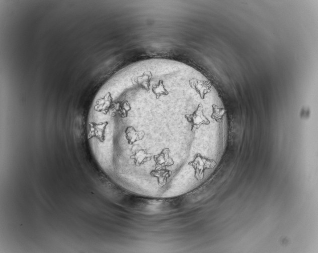 X0000101950130200808151301