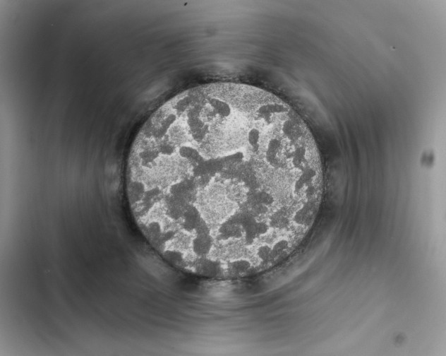 X0000101950131200808151301