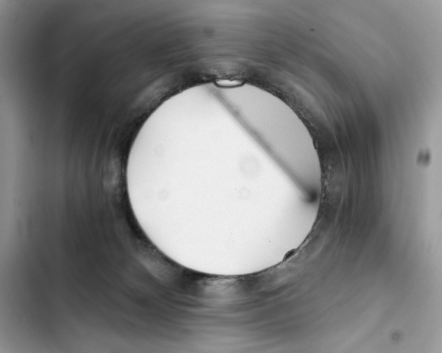 X0000101950132200808151301