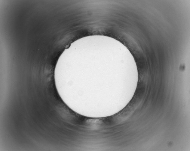 X0000101950133200808151301