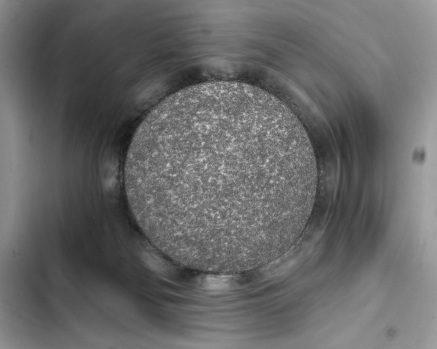 X0000101950134200808151301