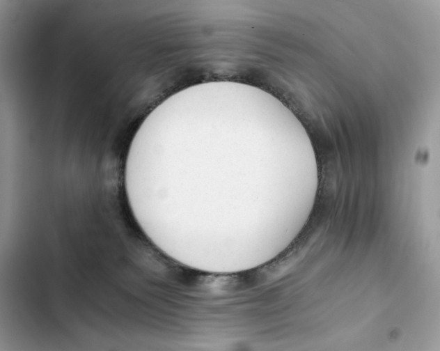 X0000101950135200808151301