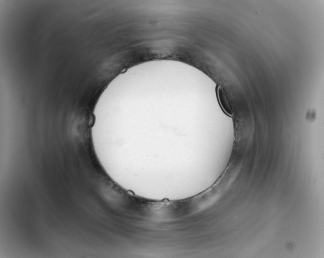 X0000101950136200808151301