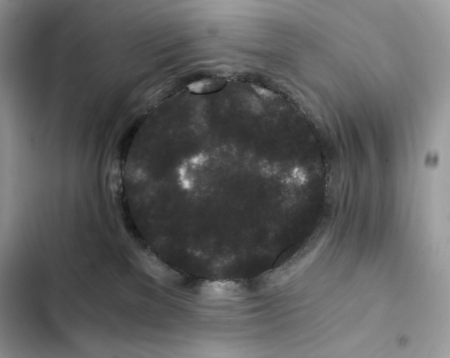X0000101950137200808151301