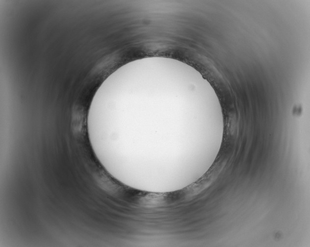 X0000101950138200808151301