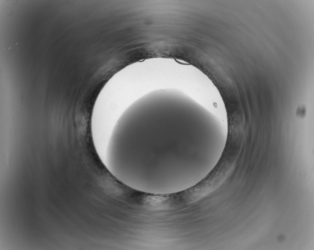 X0000101950139200808151301