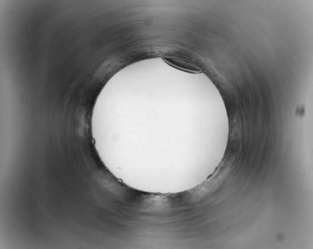 X0000101950140200808151301
