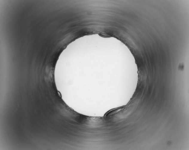 X0000101950141200808151301
