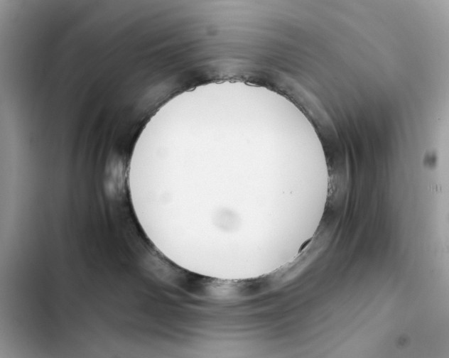 X0000101950142200808151301