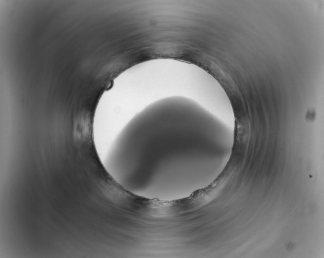 X0000101950143200808151301