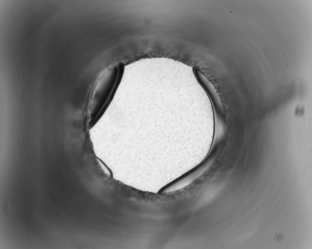 X0000101950144200808151301