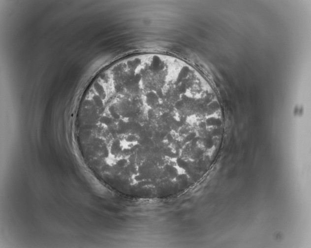 X0000101950145200808151300