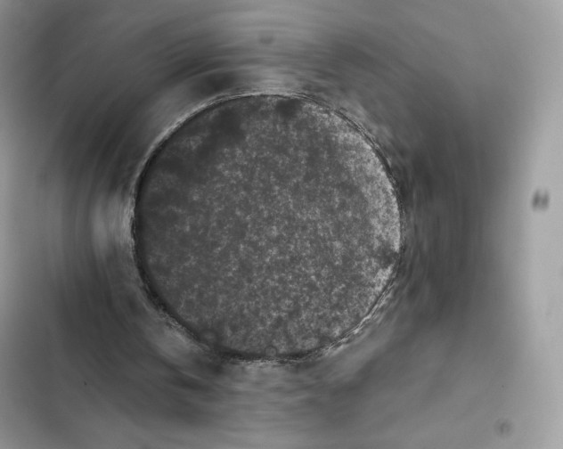 X0000101950146200808151300