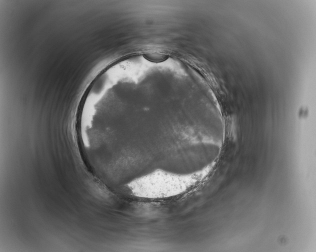 X0000101950147200808151300