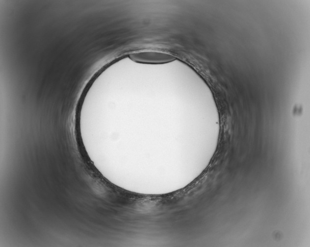 X0000101950148200808151300