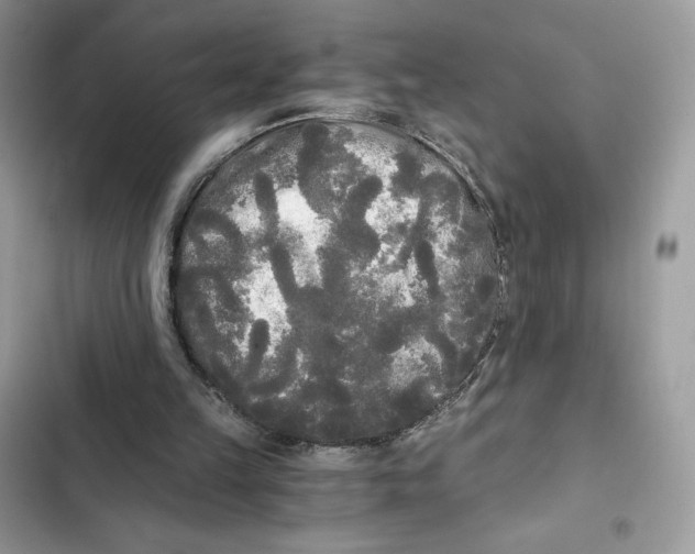 X0000101950149200808151300