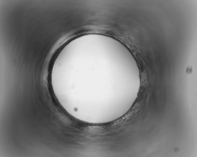 X0000101950150200808151300