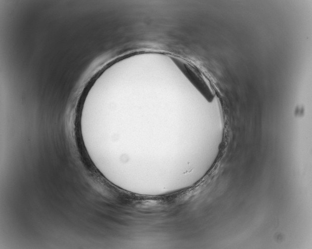 X0000101950151200808151300
